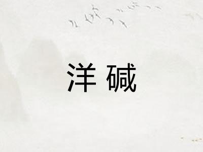 洋碱