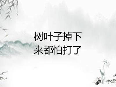 树叶子掉下来都怕打了头
