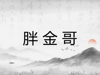 胖金哥