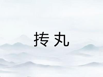 抟丸