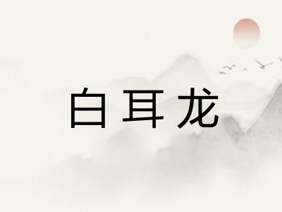 白耳龙