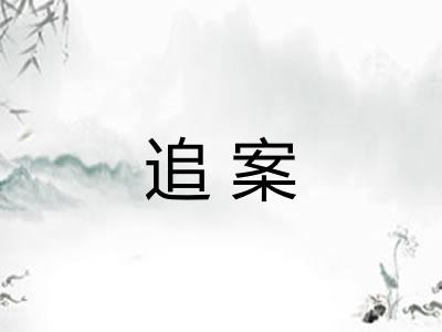 追案
