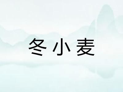 冬小麦 冬小麦