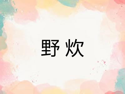 野炊