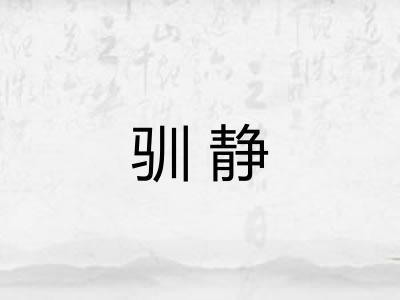 驯静