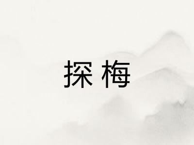 探梅