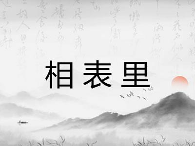 相表里