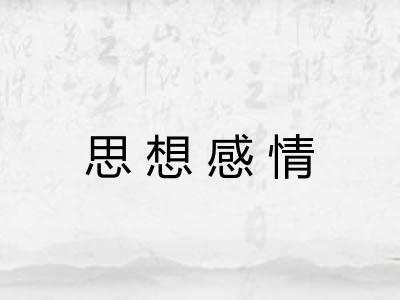 思想感情