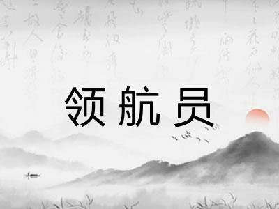 领航员