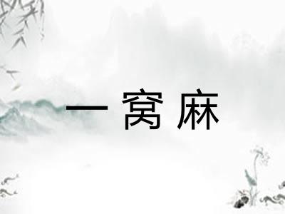 一窝麻