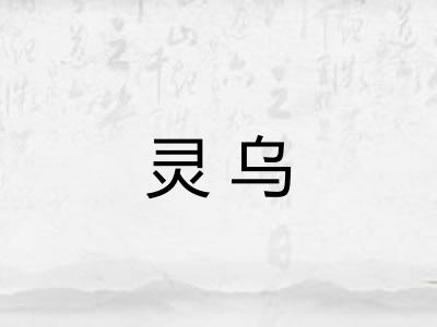 灵乌 灵乌