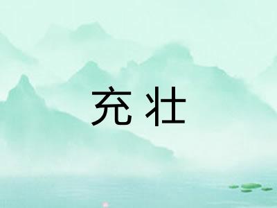 充壮 充壮