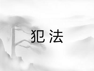 犯法