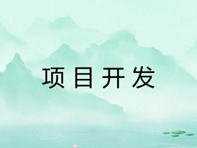 项目开发 项目开发