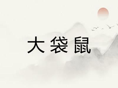 大袋鼠 大袋鼠
