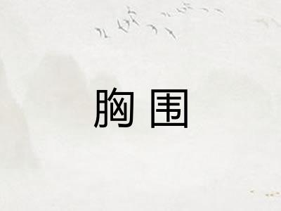 胸围