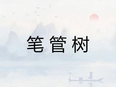 笔管树