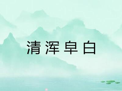 清浑皁白