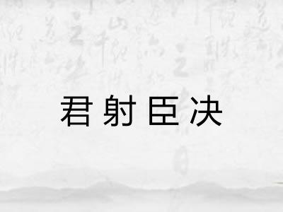 君射臣决