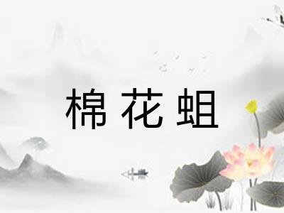 棉花蛆 棉花蛆