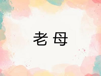 老母