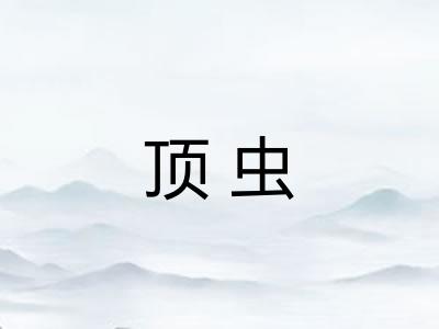 顶虫