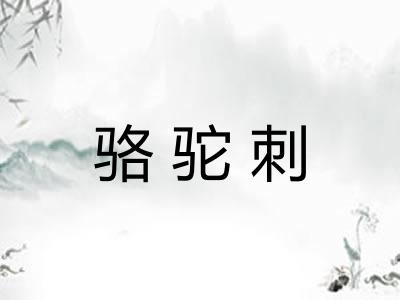 骆驼刺 骆驼刺