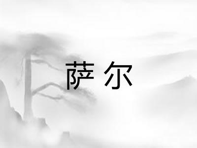 萨尔 萨尔