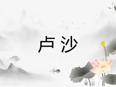 卢沙 卢沙