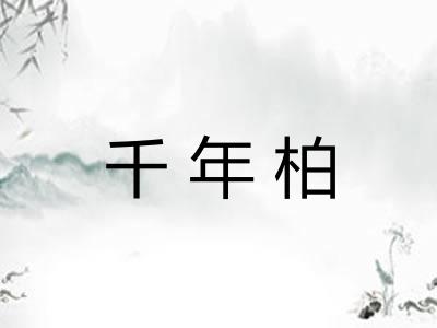 千年柏 千年柏