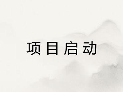 项目启动