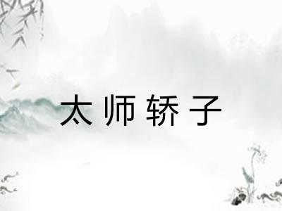 太师轿子