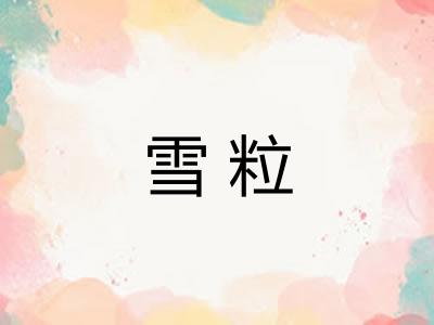 雪粒 雪粒