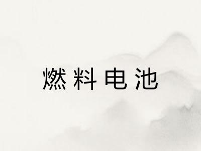 燃料电池 燃料电池