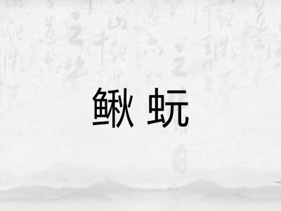 鳅蚖