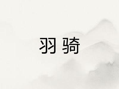 羽骑