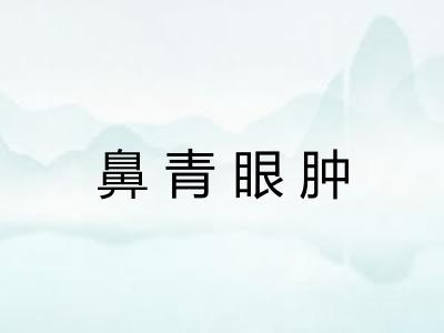 鼻青眼肿 鼻青眼肿