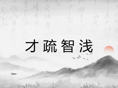 才疏智浅