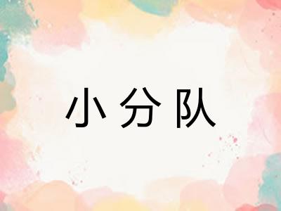 小分队