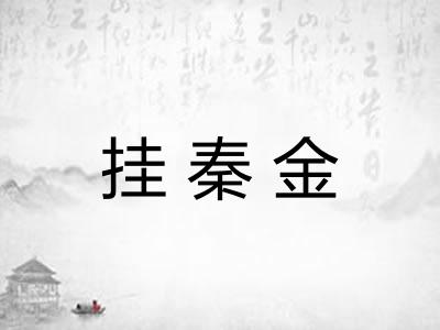 挂秦金