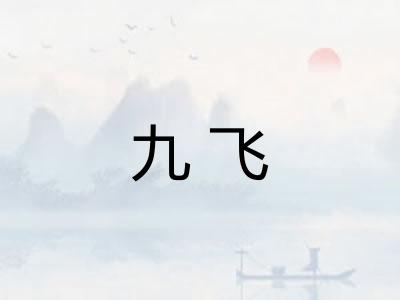 九飞