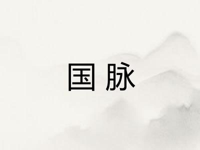 国脉