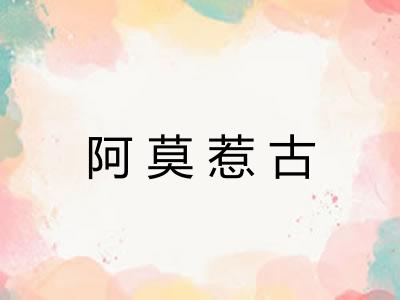 阿莫惹古