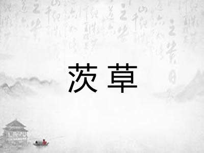 茨草 茨草
