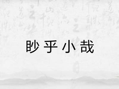 眇乎小哉