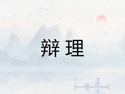 辩理