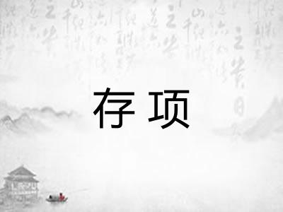 存项 存项