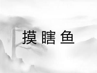 摸瞎鱼