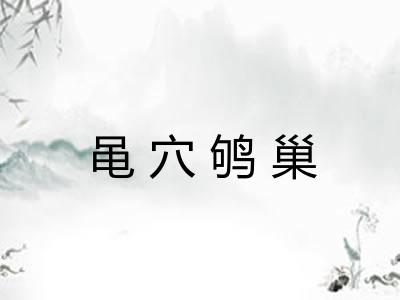 黾穴鸲巢 黾穴鸲巢