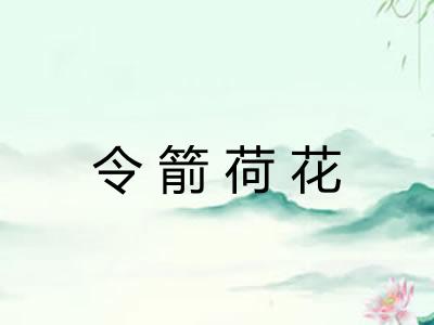 令箭荷花